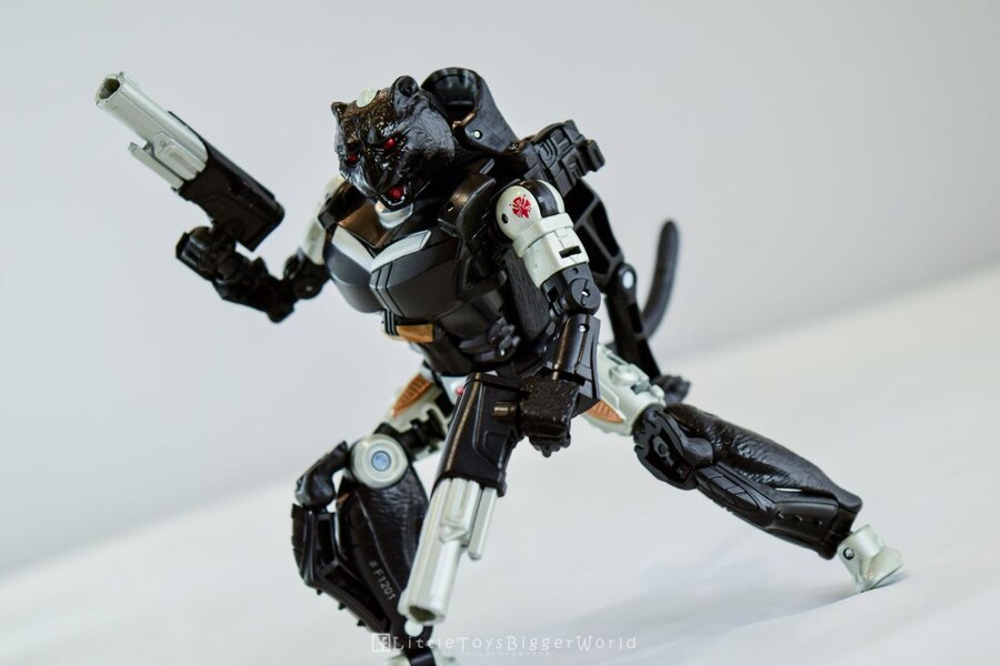 Hasbro Fans Expo 2012 Covert Agent Ravage Decepticons Forever 2 Pack  (2 of 11)